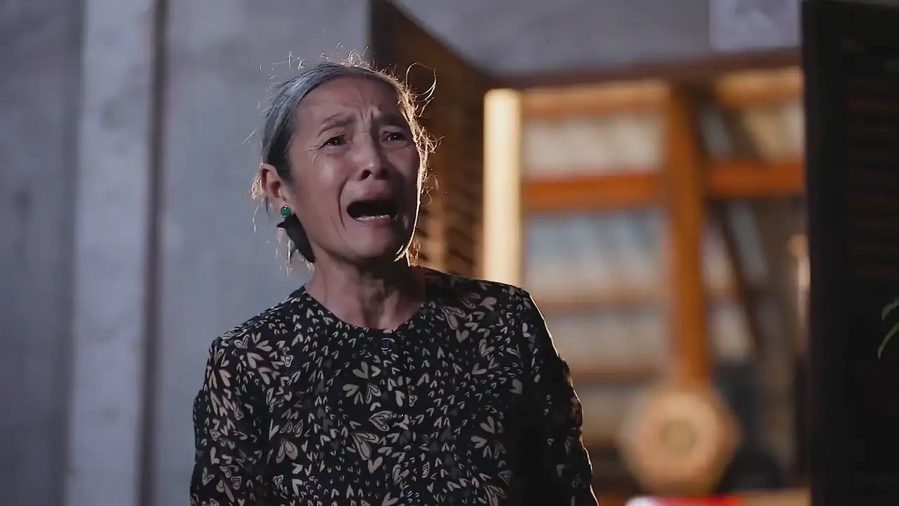 Ảnh bài hát Phận Xa Quê