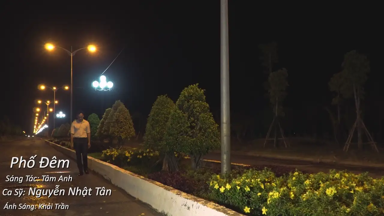 Ảnh bài hát Phố Đêm