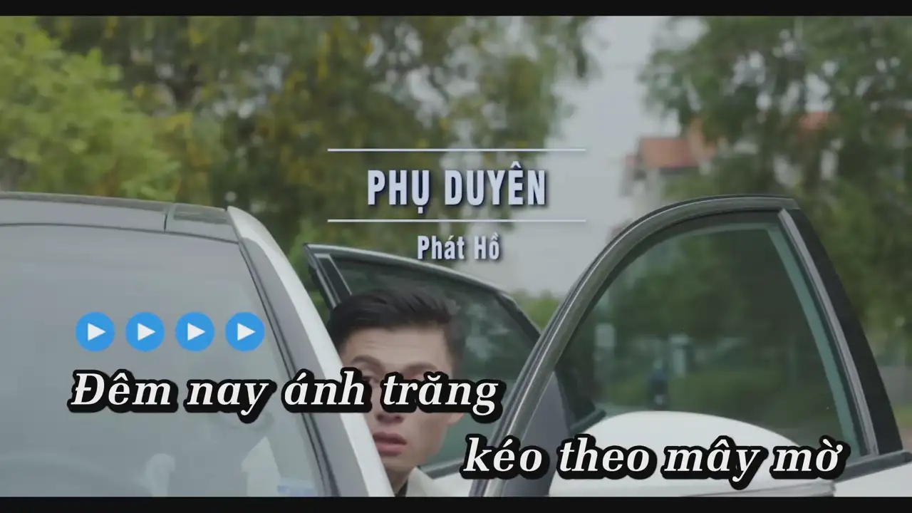 Ảnh bài hát Phụ Duyên
