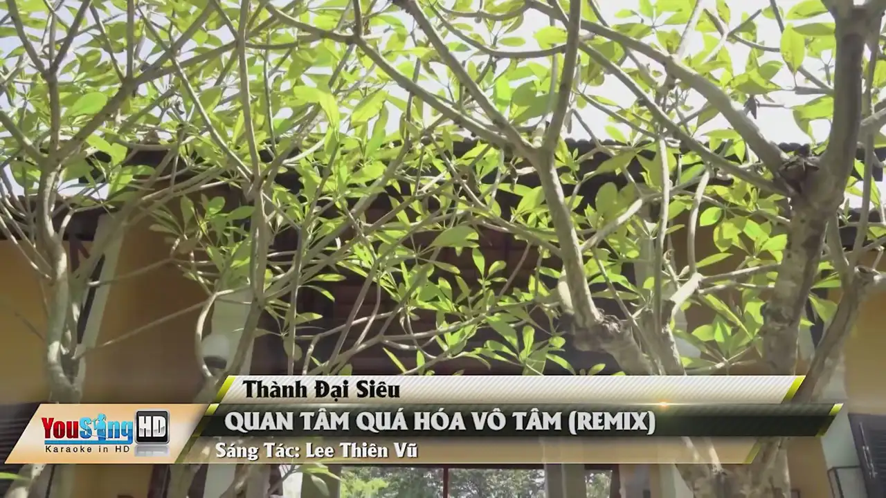 Ảnh bài hát Quan Tâm Quá Hóa Vô Tâm (Remix)