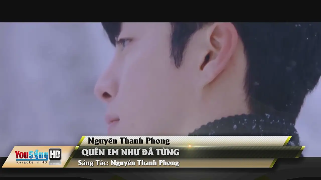 Ảnh bài hát Quên Em Như Đã Từng