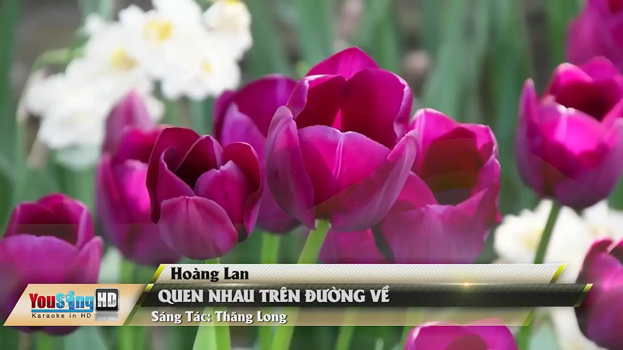 Ảnh bài hát Quen Nhau Trên Đường Về