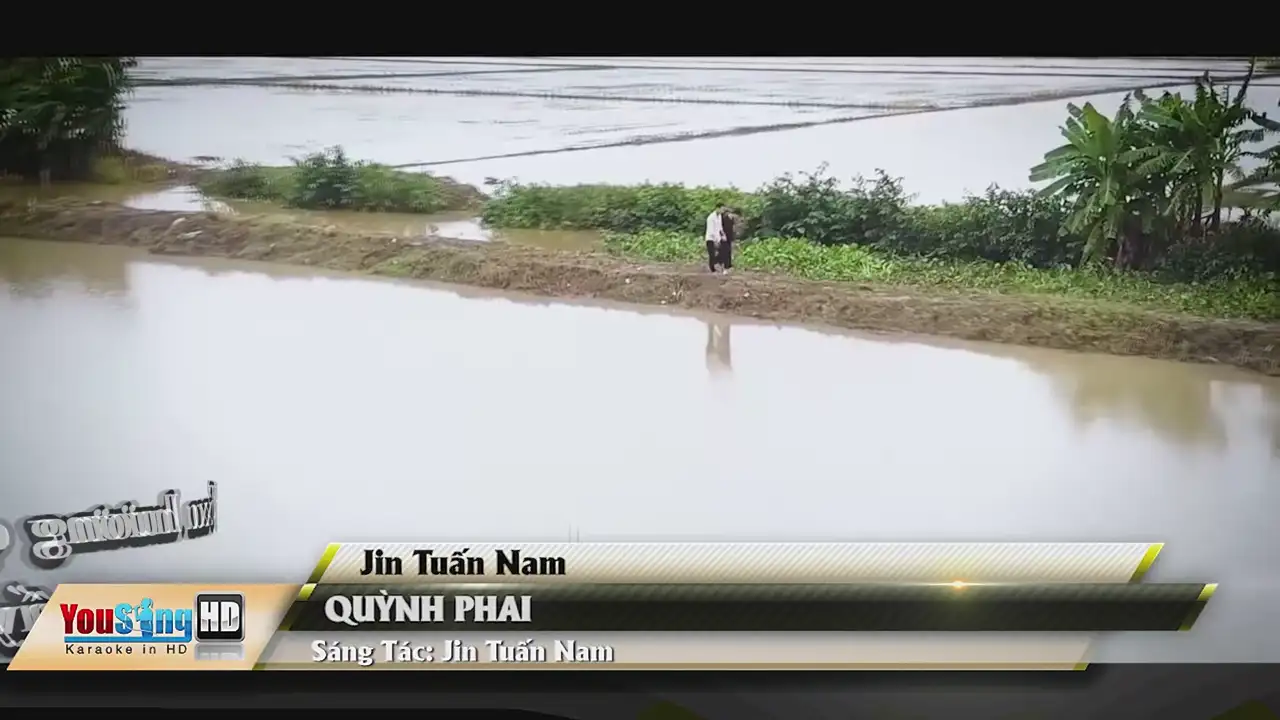 Ảnh bài hát Quỳnh Phai