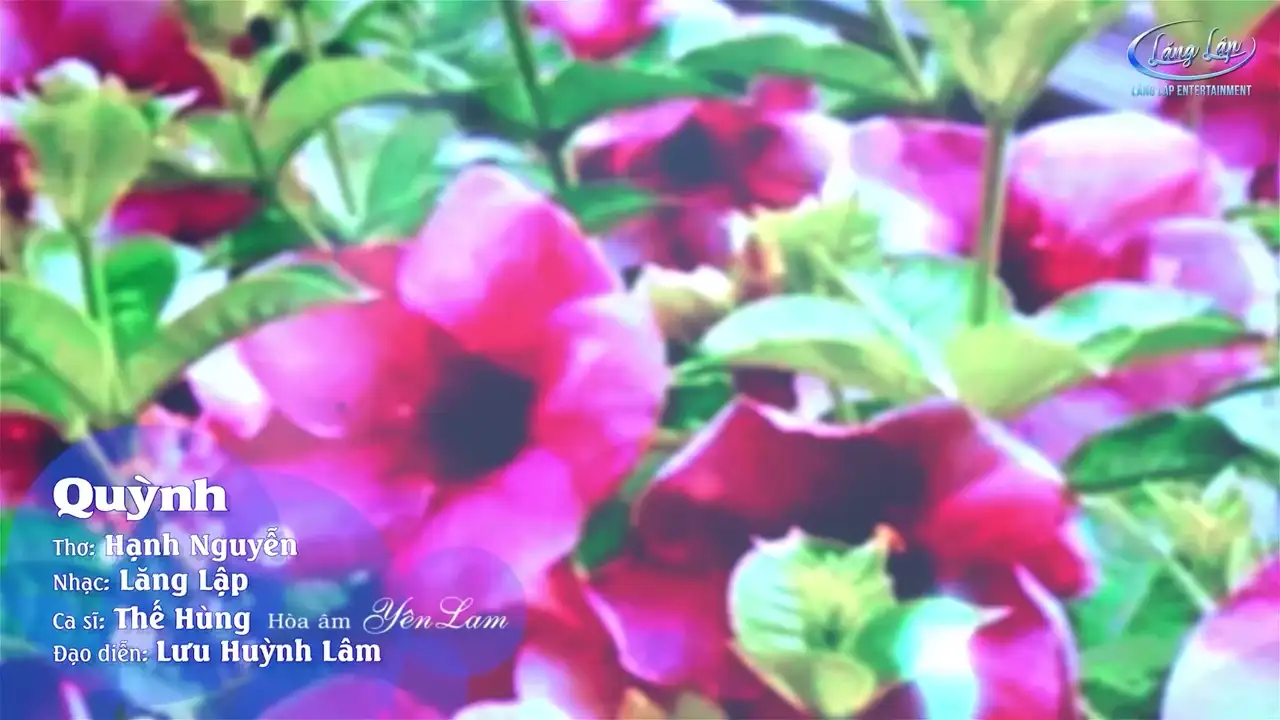 Ảnh bài hát Quỳnh