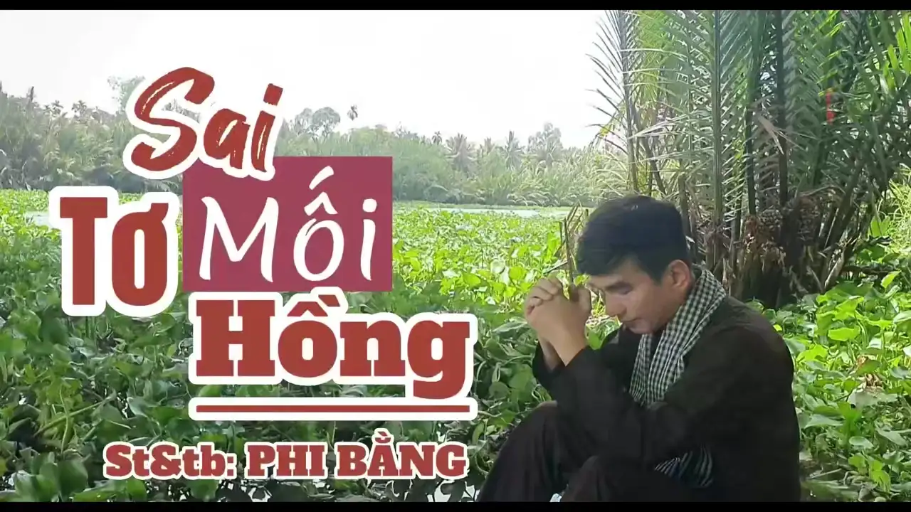 Ảnh bài hát Sai Mối Tơ Hồng