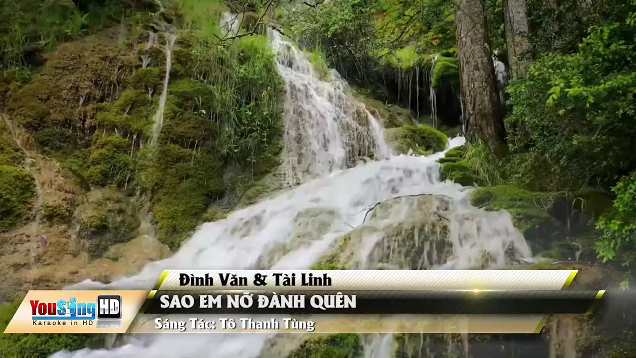 Ảnh bài hát Sao Em Nỡ Đành Quên