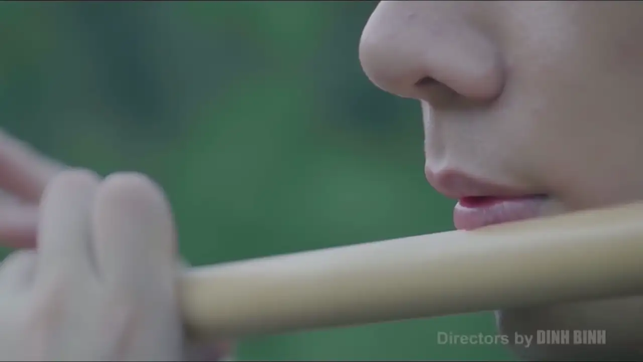 Ảnh bài hát Sầu Tương Tư