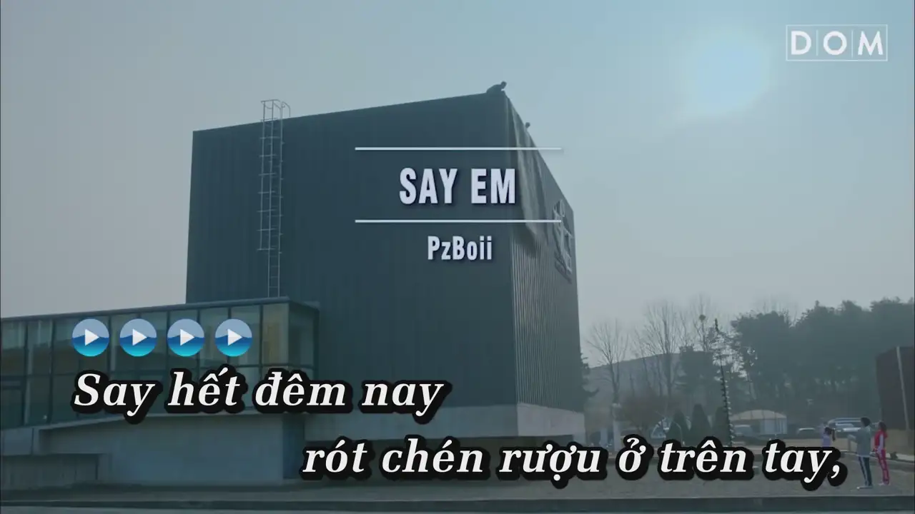 Ảnh bài hát Say Em