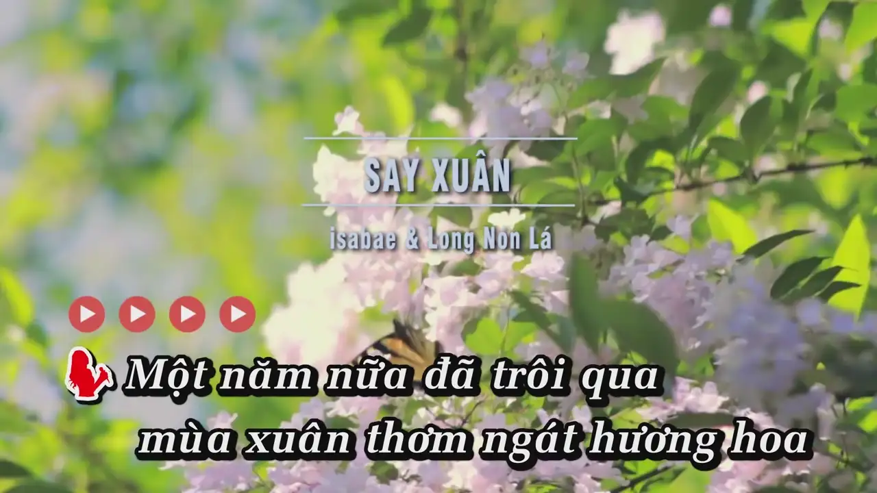 Ảnh bài hát Say Xuân