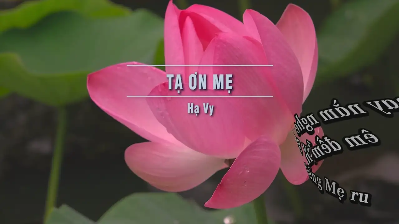 Ảnh bài hát Tạ Ơn Mẹ