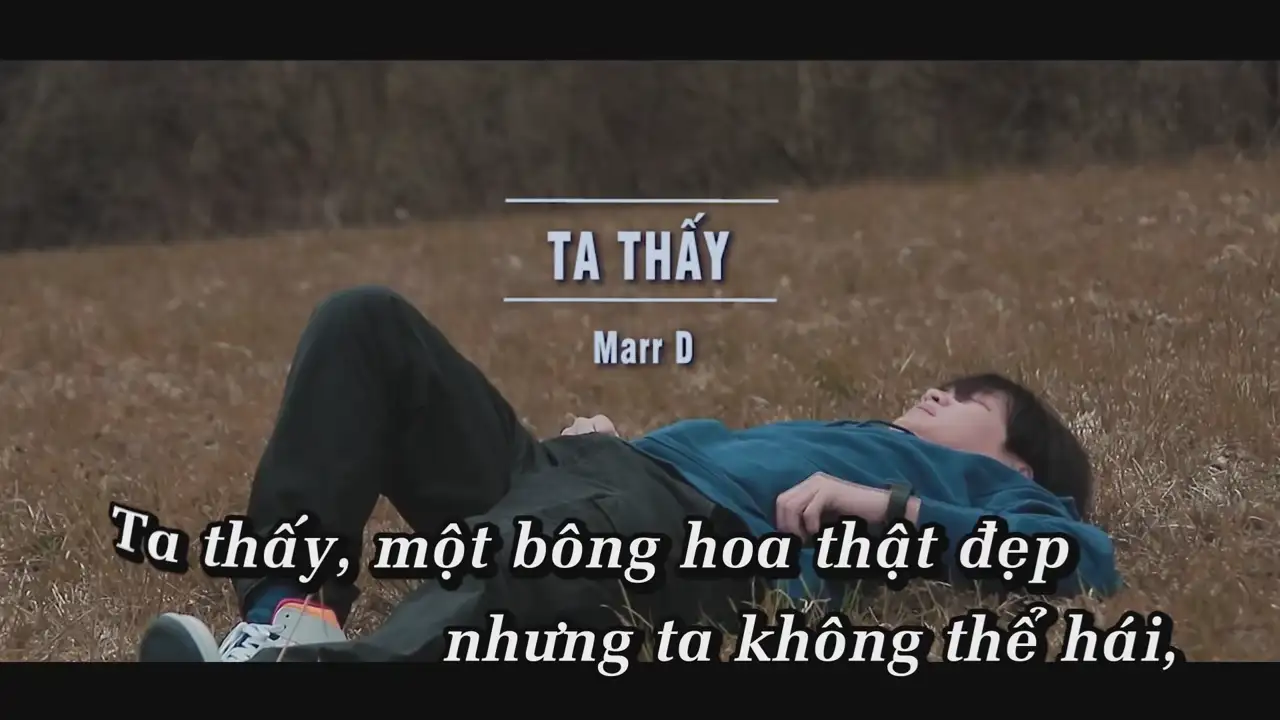 Ảnh bài hát Ta Thấy