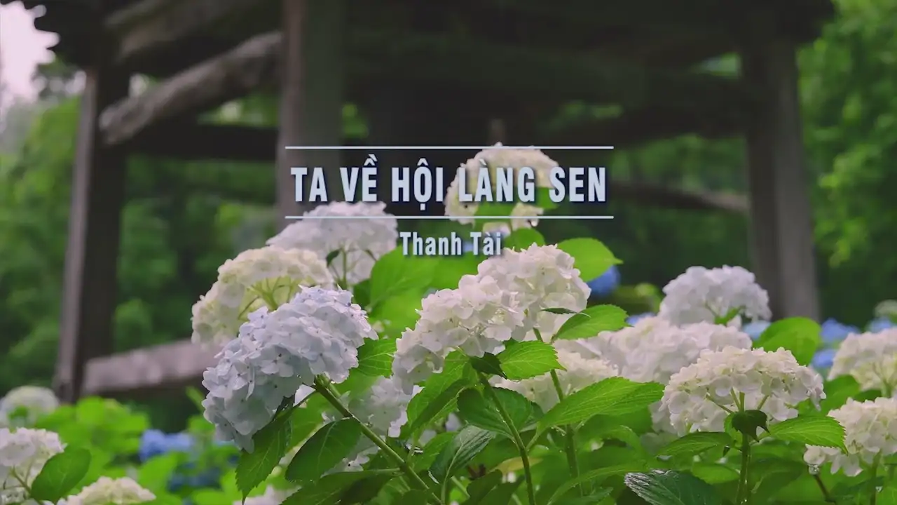 Ảnh bài hát Ta Về Với Hội Làng Sen