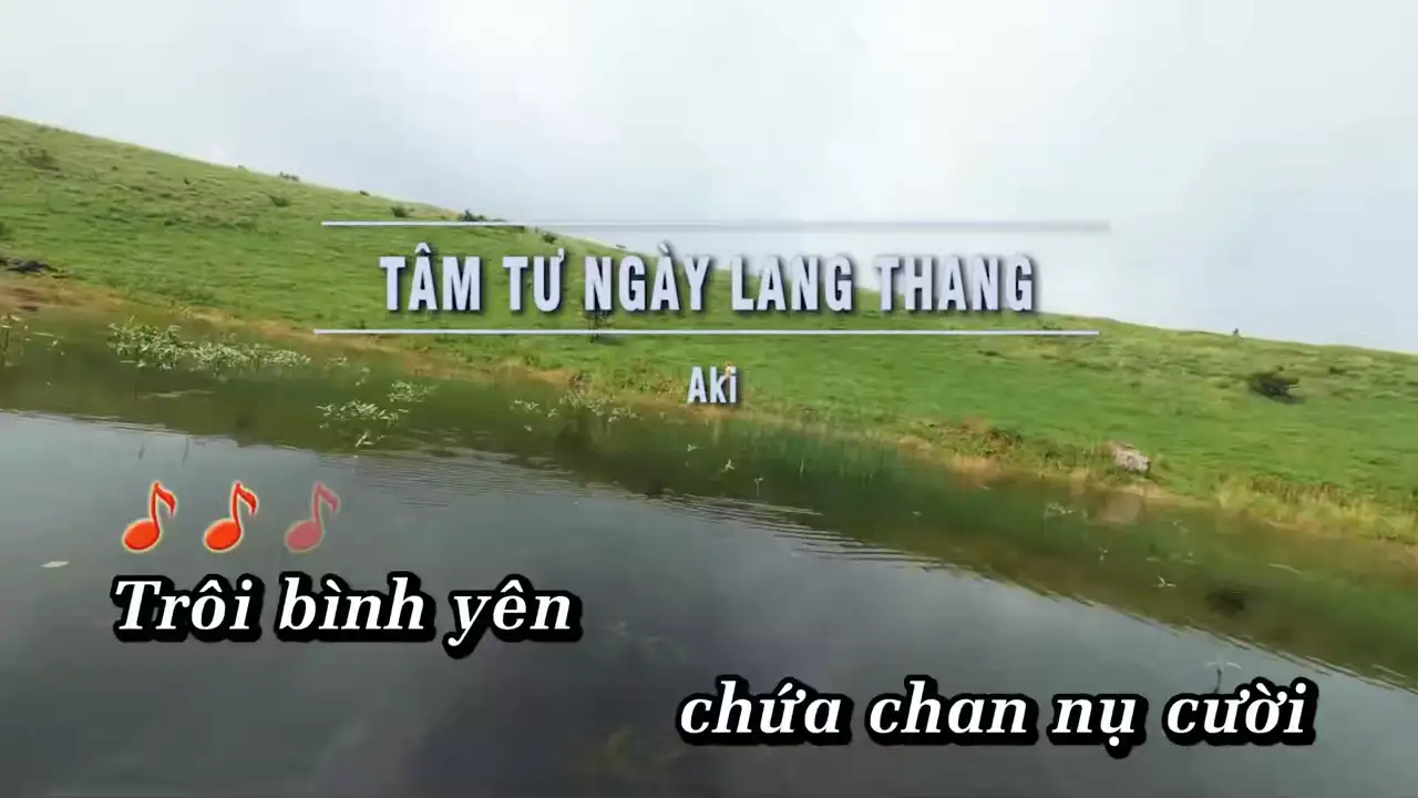 Ảnh bài hát Tâm Tư Ngày Lang Thang