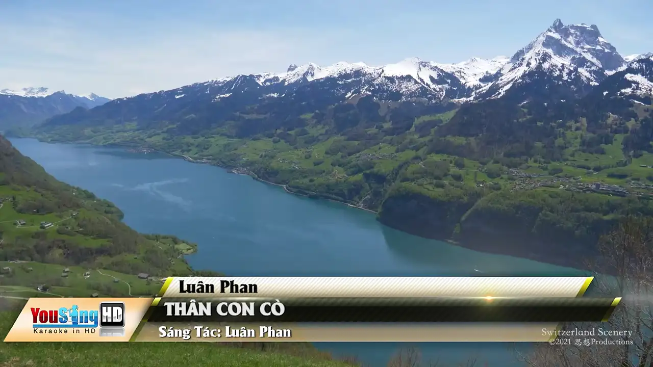 Ảnh bài hát Thân Con Cò