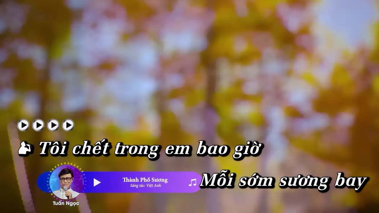 Ảnh bài hát Thành Phố Sương