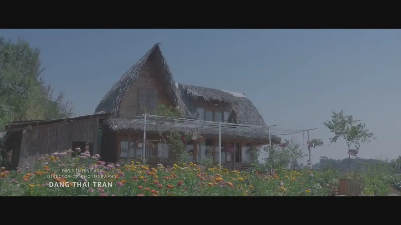 Ảnh bài hát Thích Thì Đến