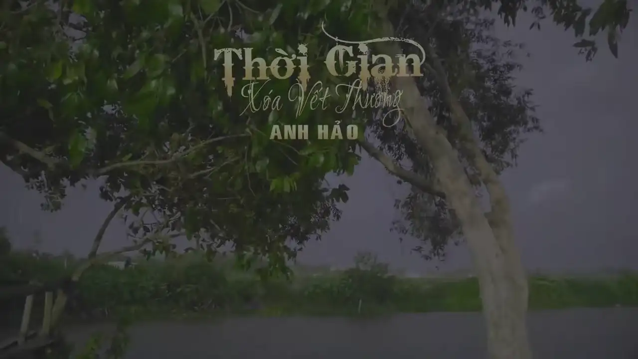 Ảnh bài hát Thời Gian Xóa Vết Thương