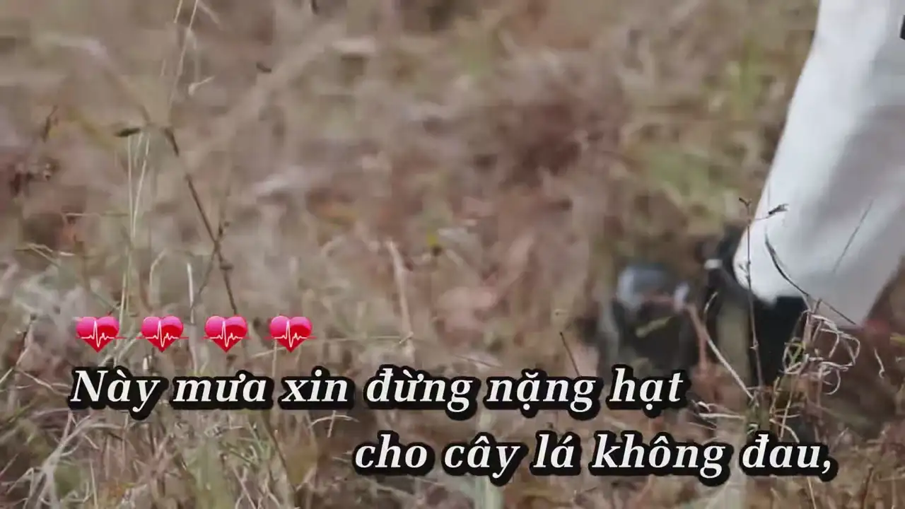 Ảnh bài hát Thứ Tha