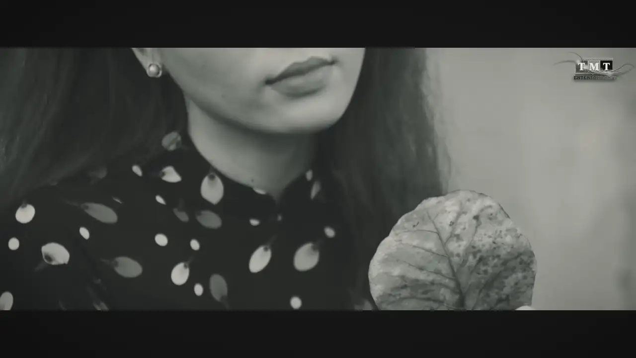 Ảnh bài hát Thư Tình Em Gái