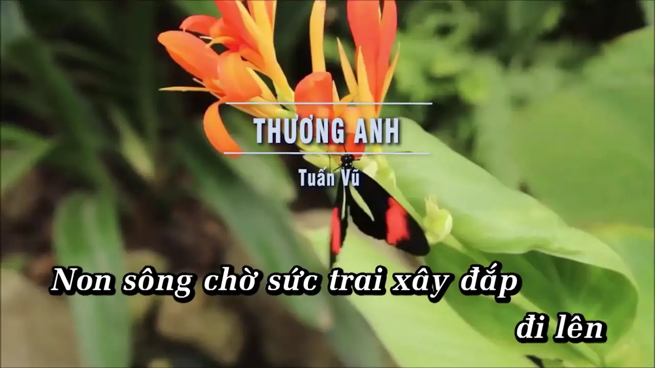 Ảnh bài hát Thương Anh
