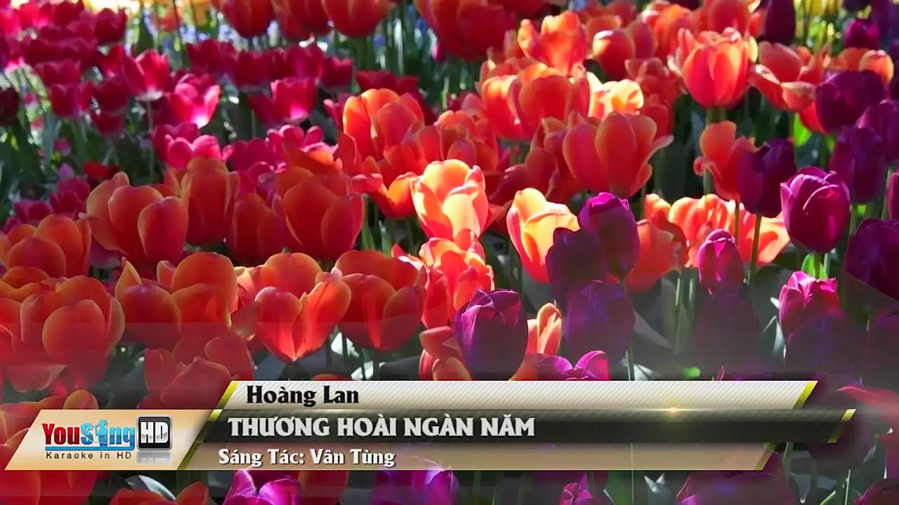 Ảnh bài hát Thương Hoài Ngàn Năm