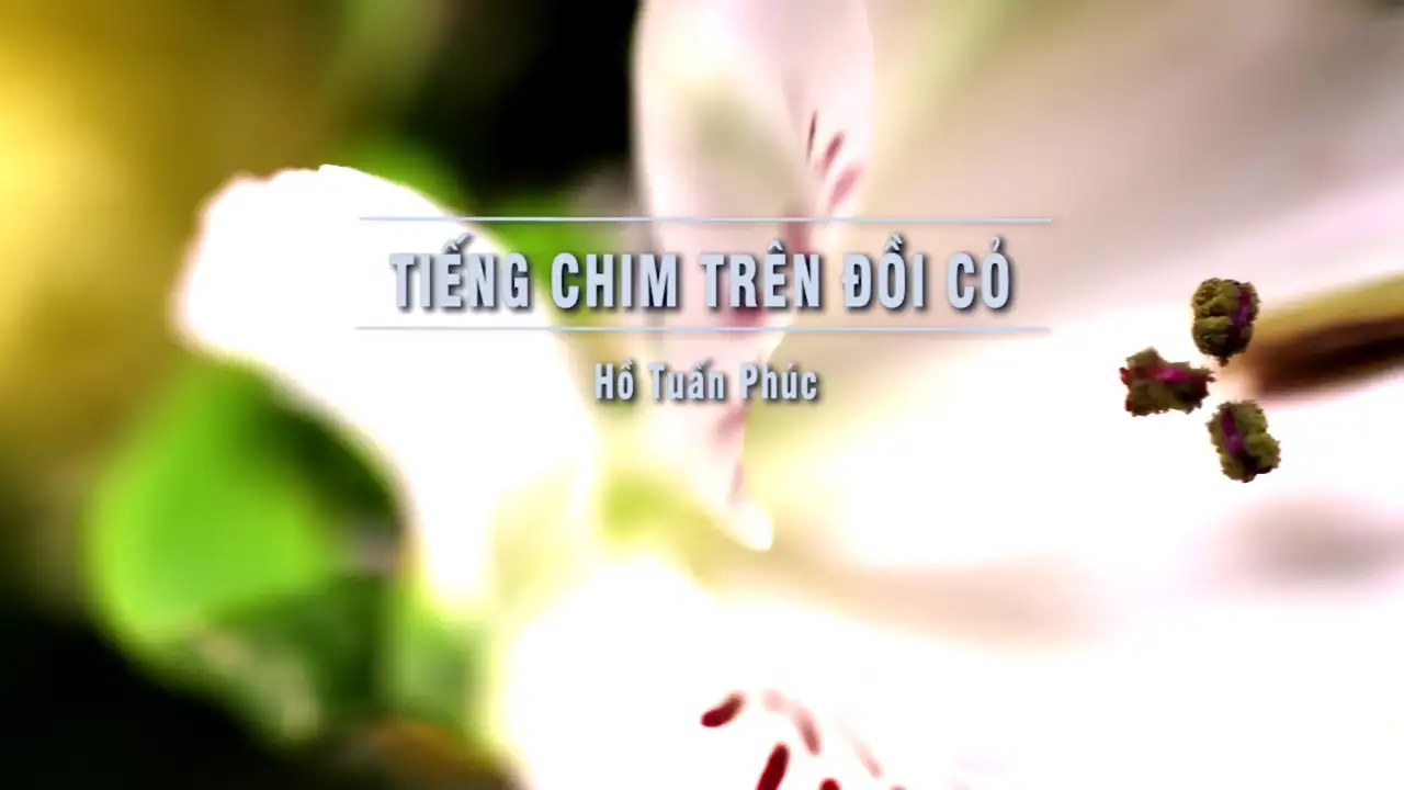 Ảnh bài hát Tiếng Chim Trên Đồi Cỏ