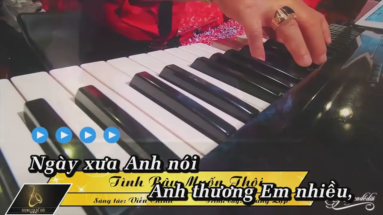 Ảnh bài hát Tình Bậu Muốn Thôi