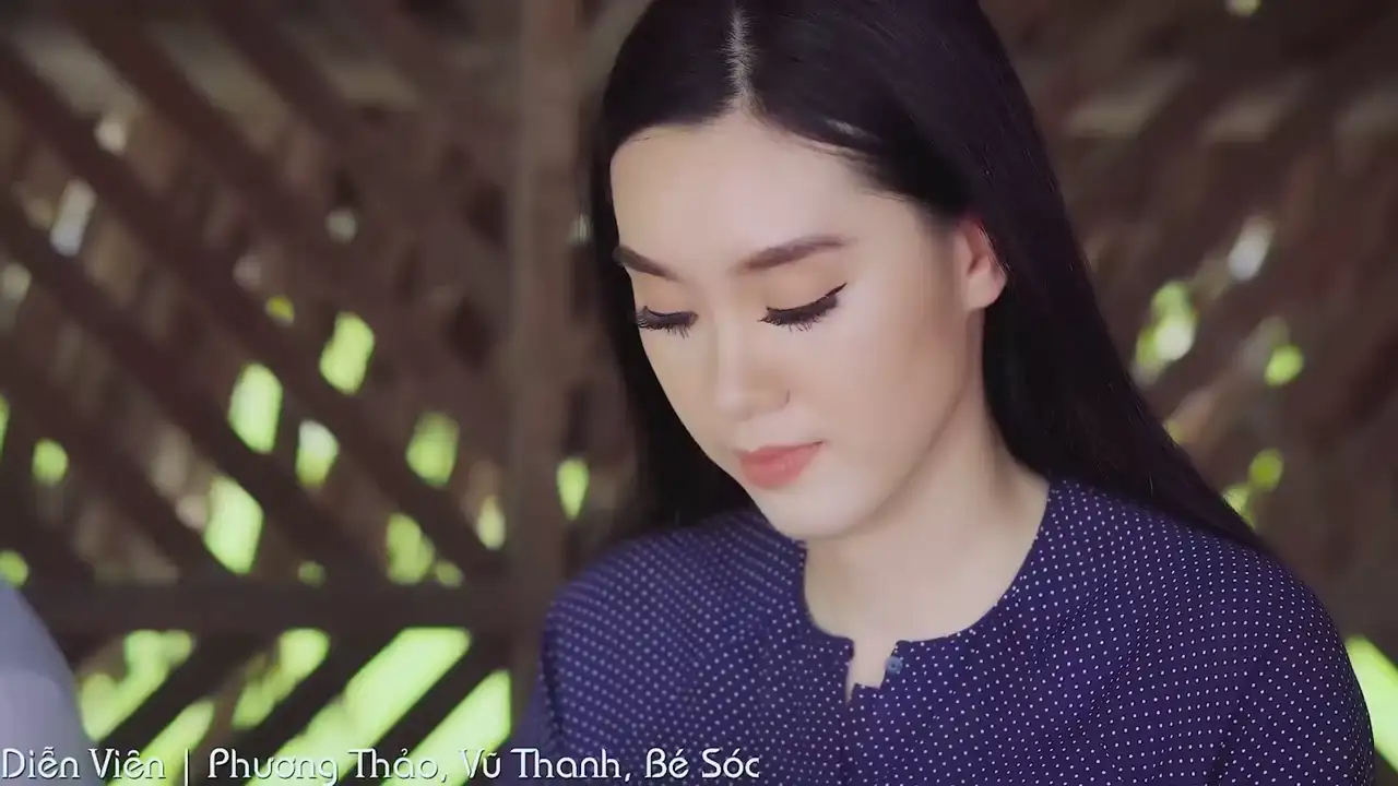 Ảnh bài hát Tình Đắng Lý Cây Bần