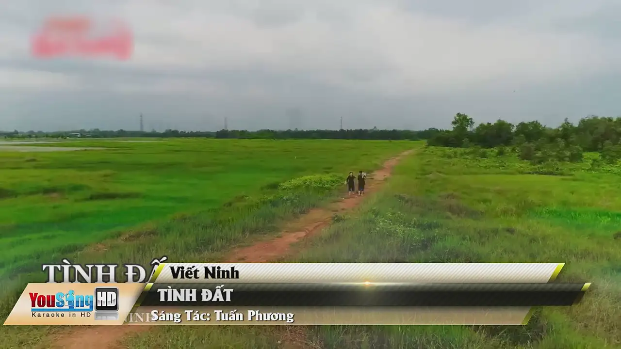 Ảnh bài hát Tình Đất