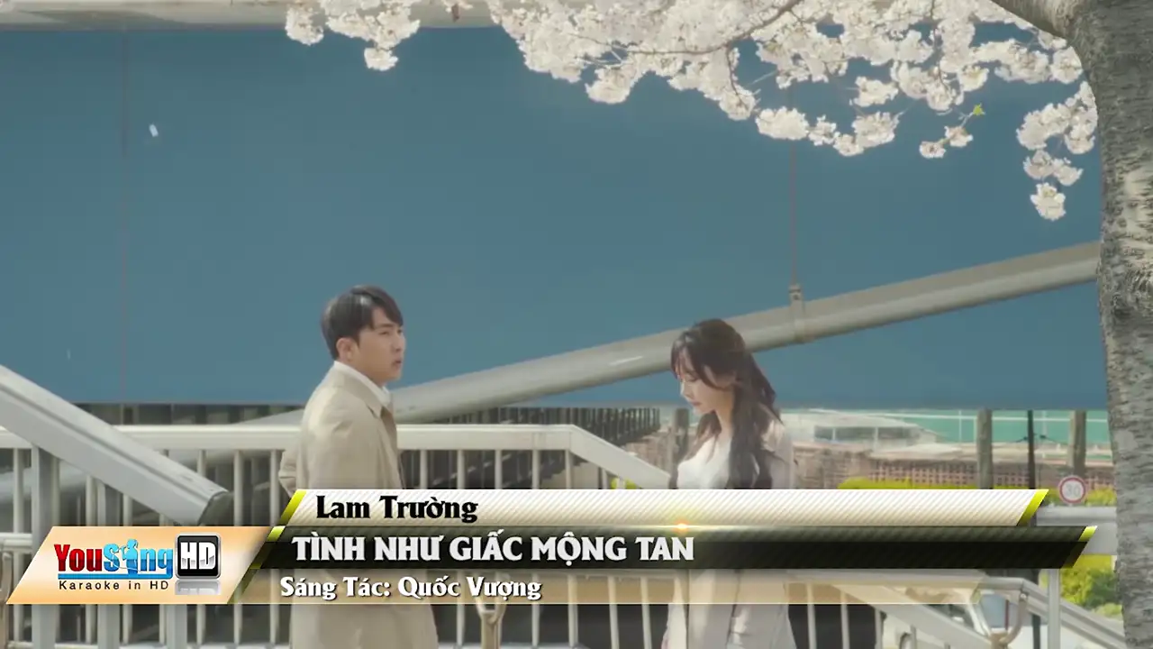 Ảnh bài hát Tình Như Giấc Mộng Tan