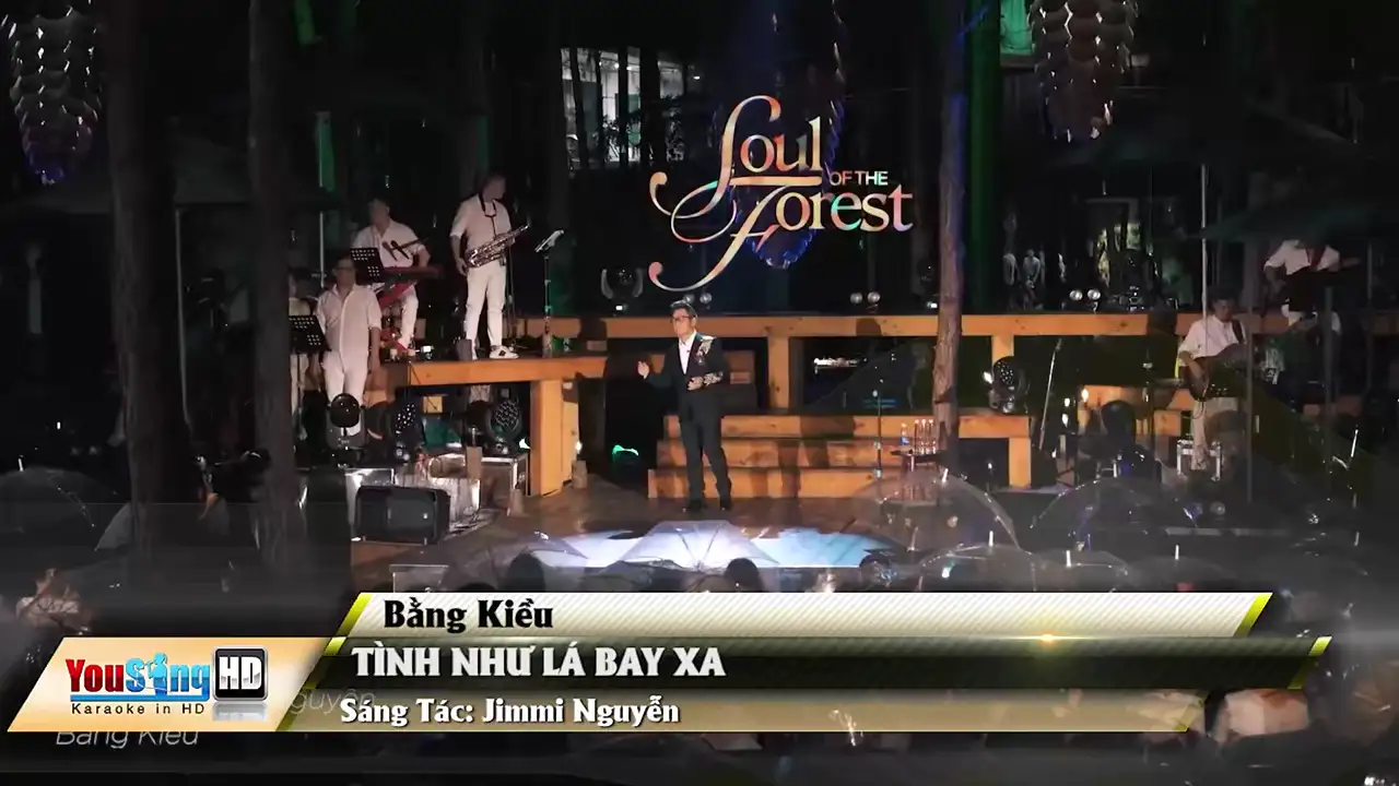 Ảnh bài hát Tình Như Lá Bay Xa