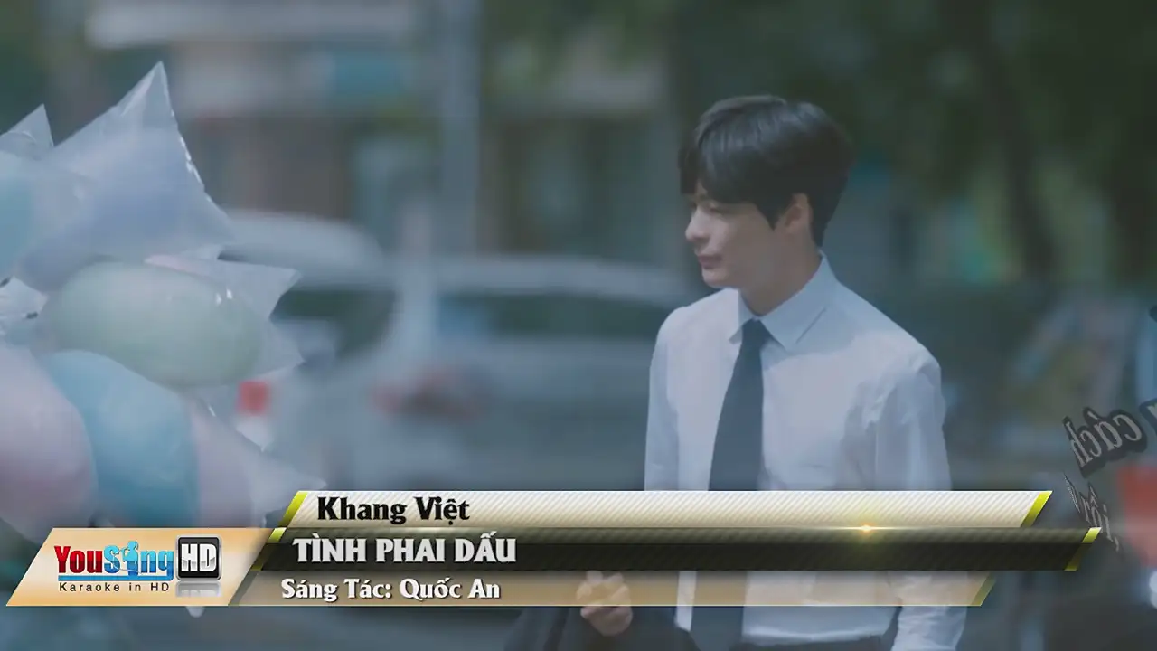Ảnh bài hát Tình Phai Dấu