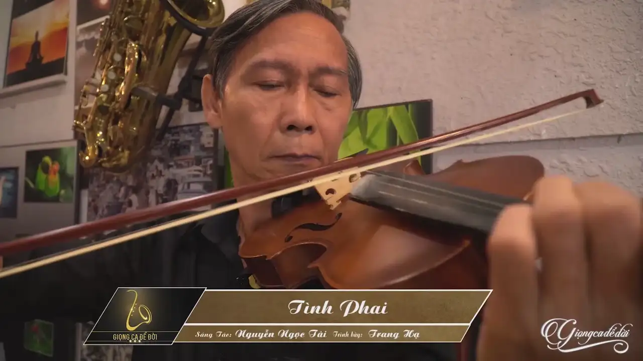Ảnh bài hát Tình Phai