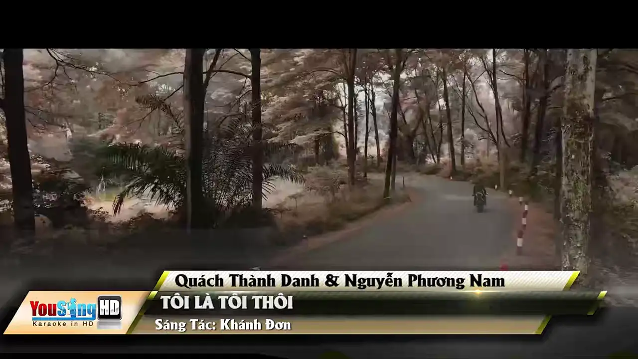 Ảnh bài hát Tôi Là Tôi Thôi