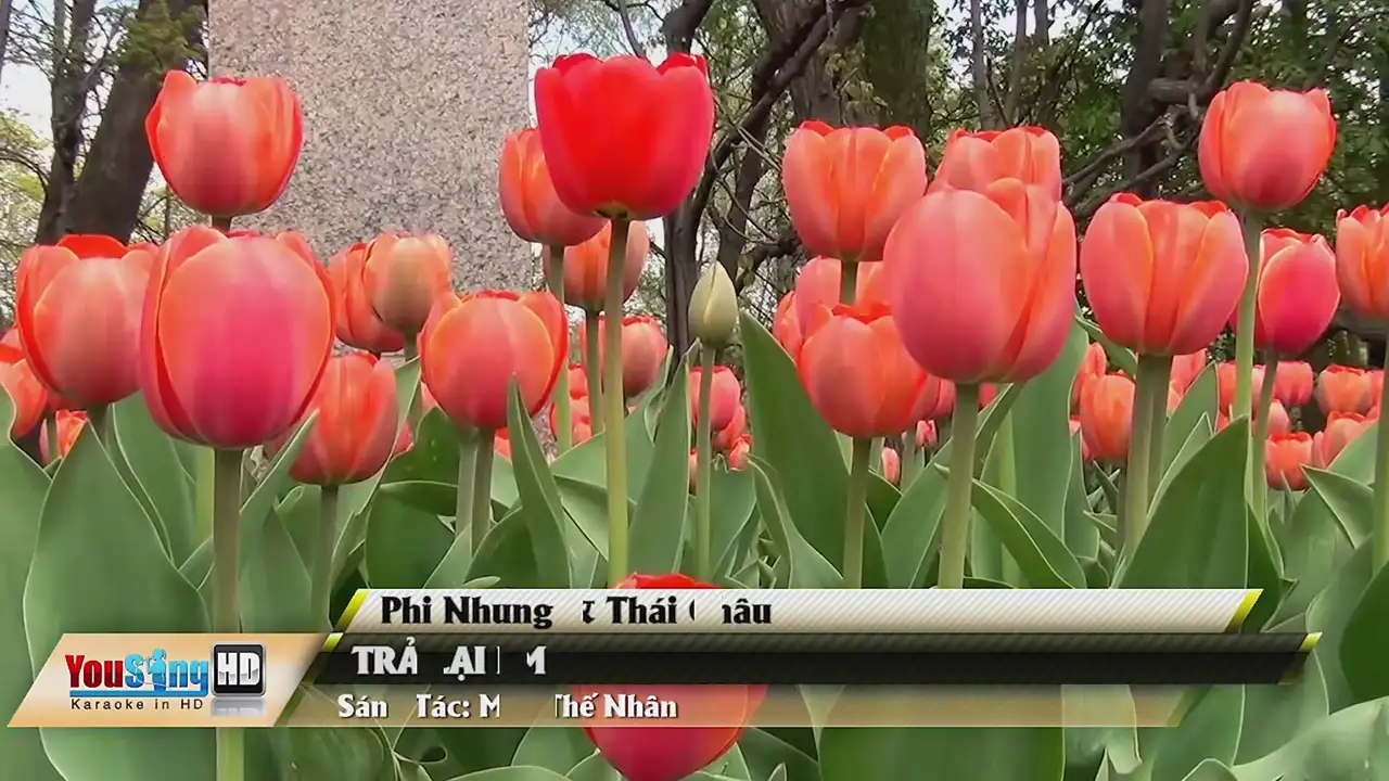 Ảnh bài hát Trả Lại Em