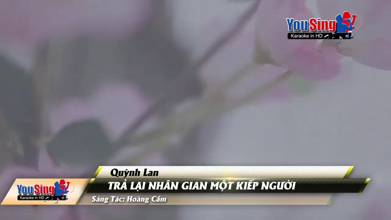 Ảnh bài hát Trả Lại Nhân Gian Một Kiếp Người