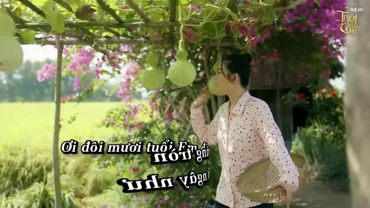 Ảnh bài hát Trái Cấm