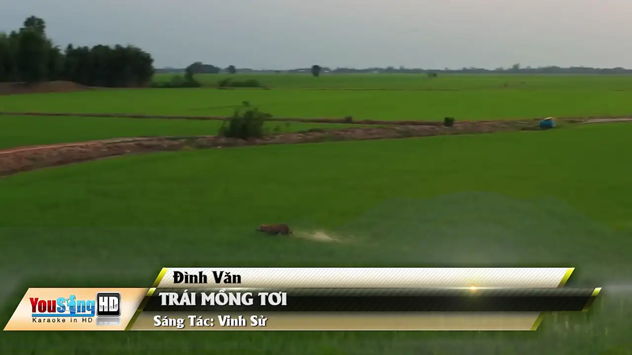 Ảnh bài hát Trái Mồng Tơi