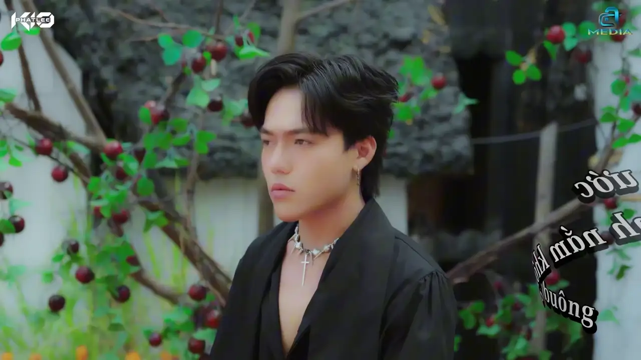 Ảnh bài hát Tràn Ly
