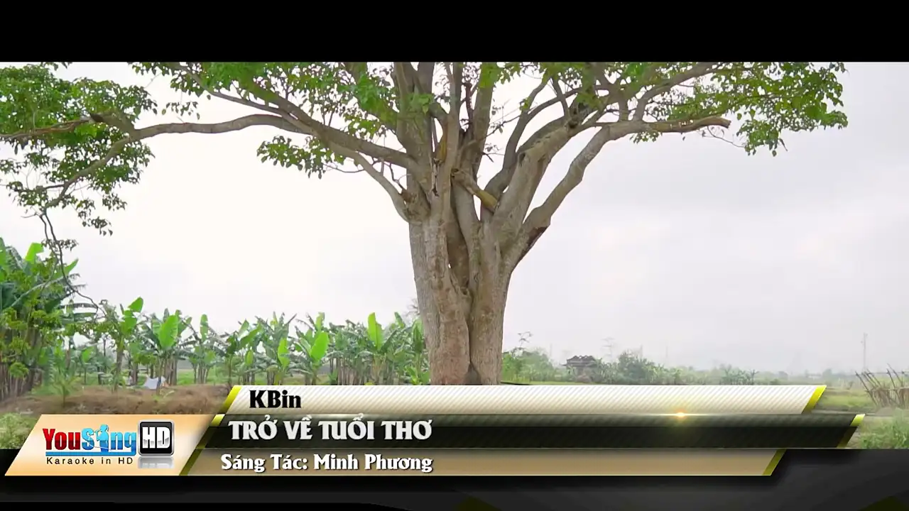 Ảnh bài hát Trở Về Tuổi Thơ