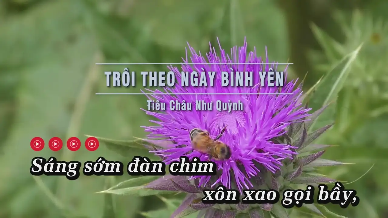 Ảnh bài hát Trôi Theo Ngày Bình Yên
