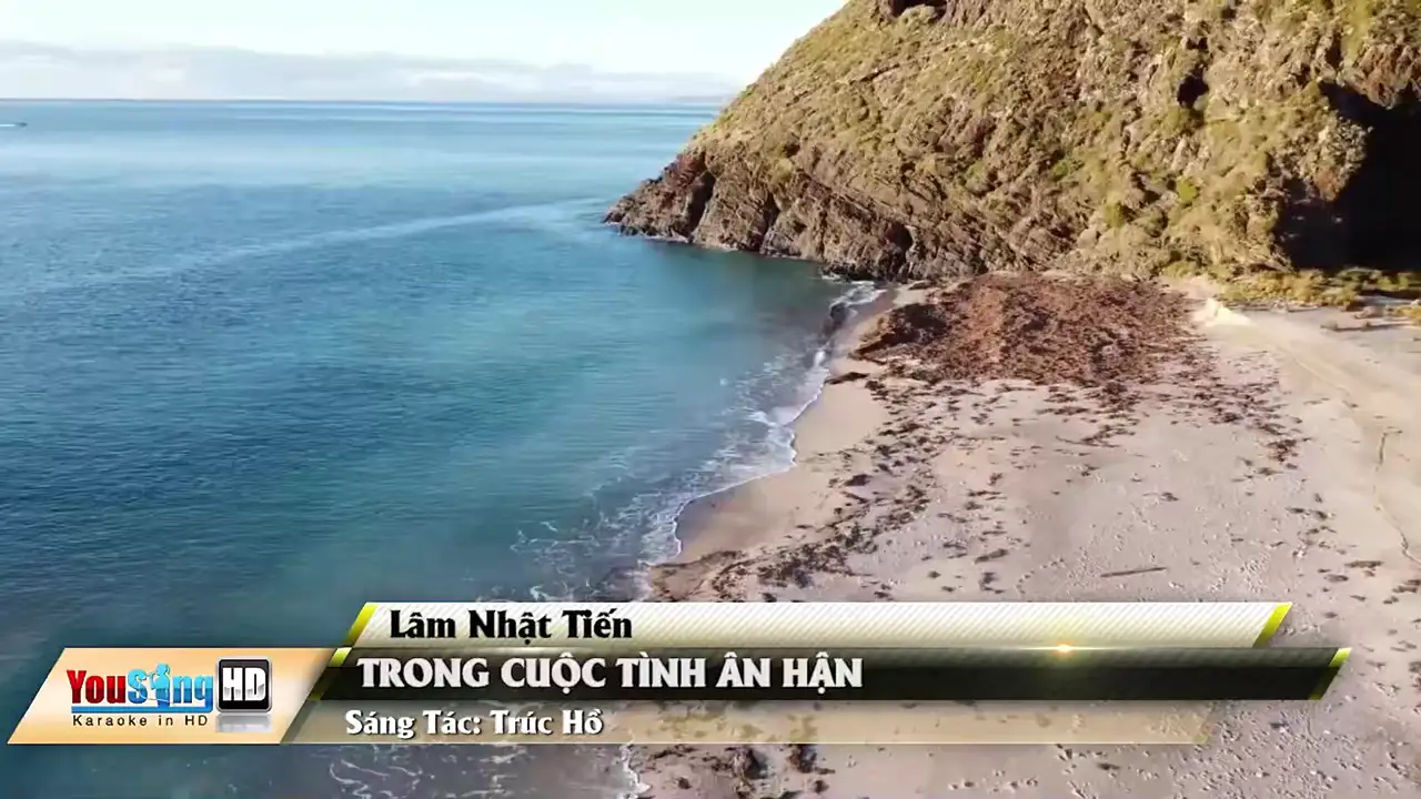 Ảnh bài hát Trong Cuộc Tình Ân Hận