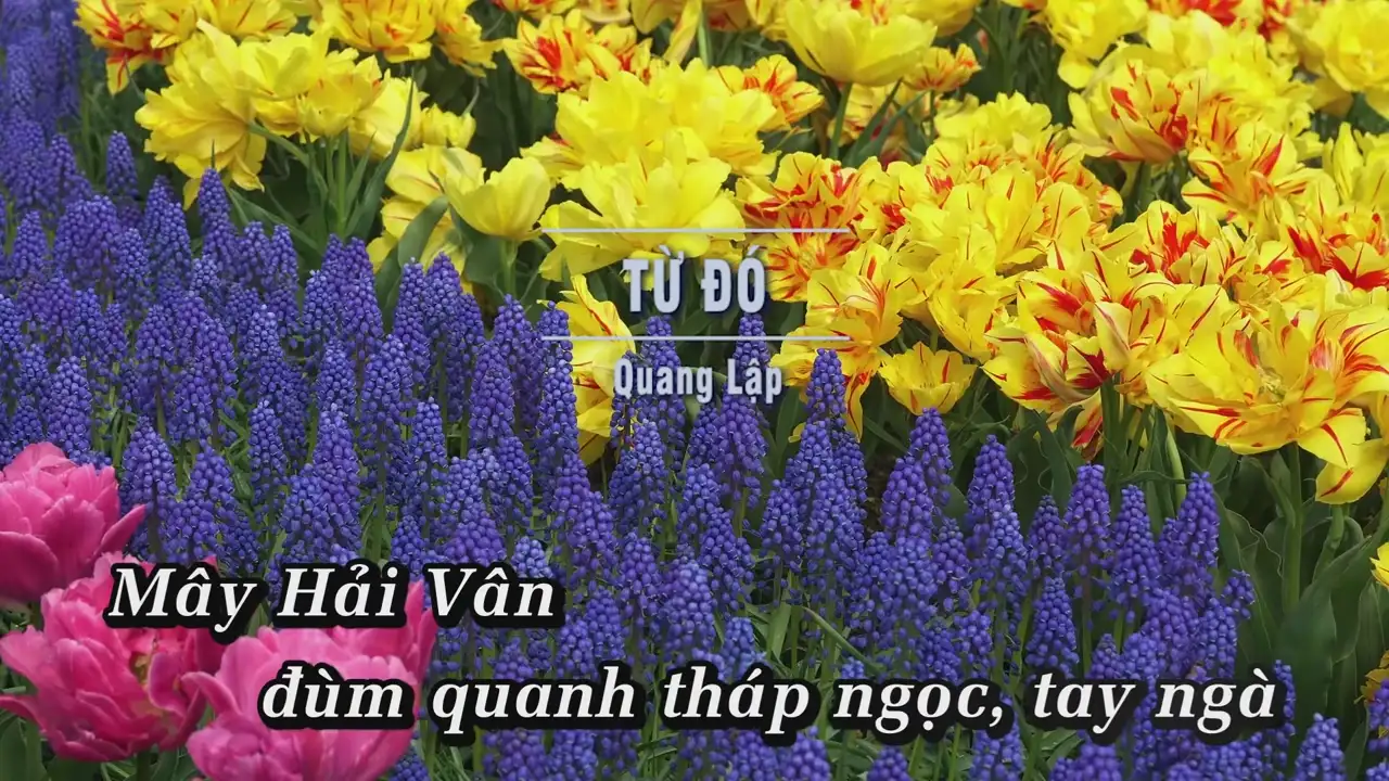 Ảnh bài hát Từ Đó