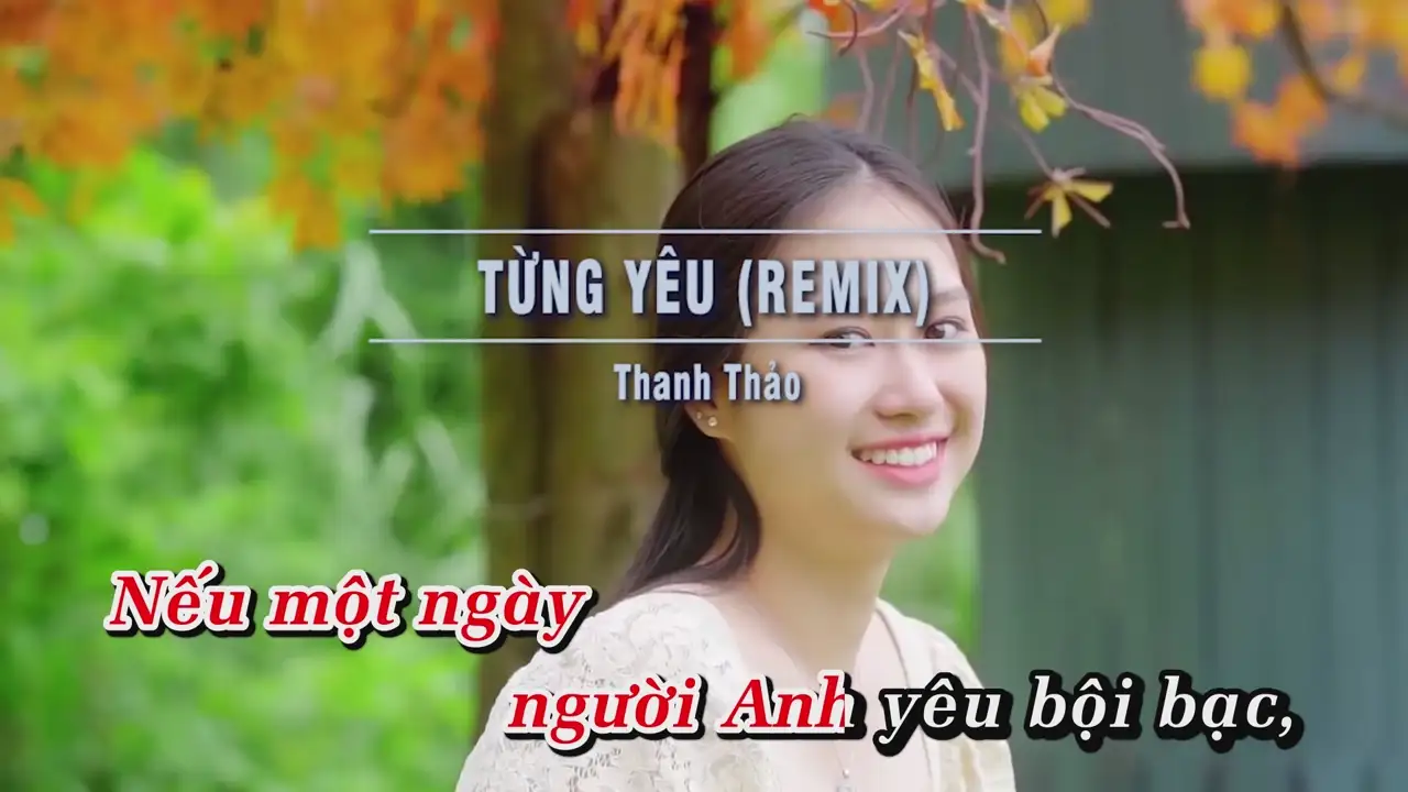 Ảnh bài hát Từng Yêu (Remix)