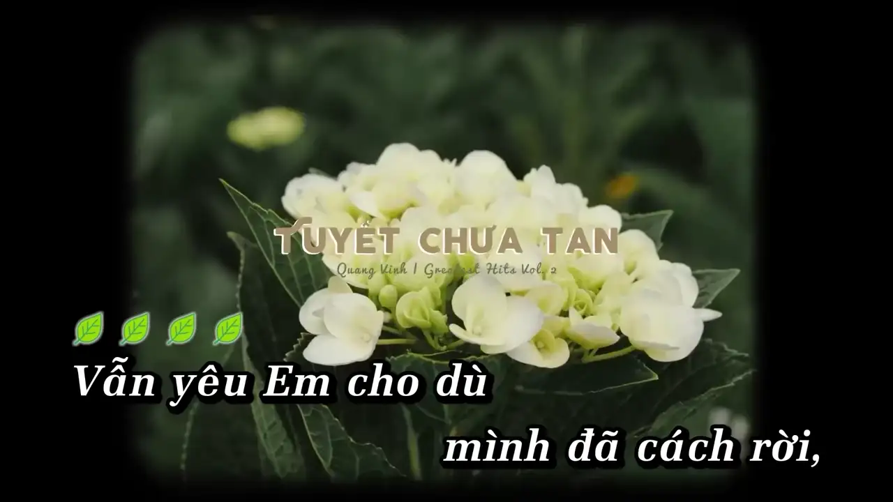 Ảnh bài hát Tuyết Chưa Tan (Radio)