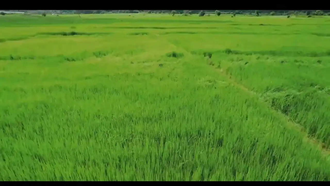 Ảnh bài hát Umbala Umbala