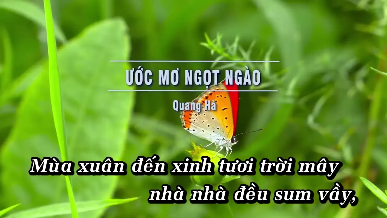 Ảnh bài hát Ước Mơ Ngọt Ngào