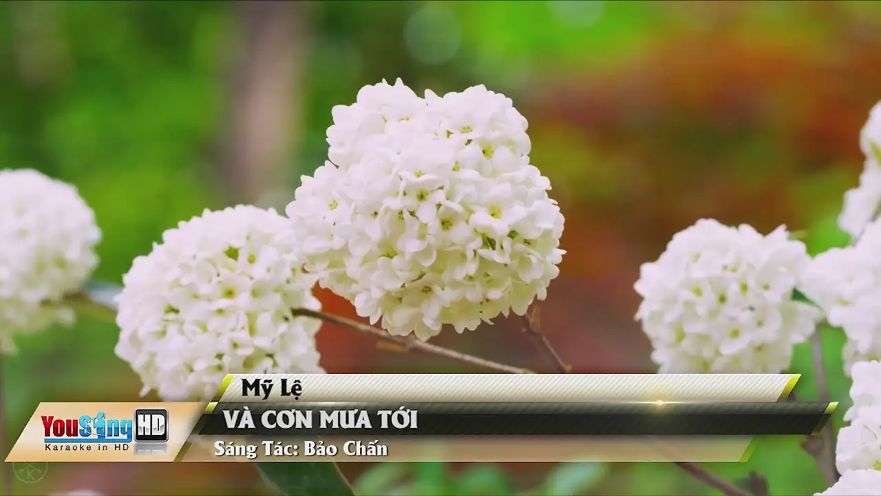 Ảnh bài hát Và Cơn Mưa Tới