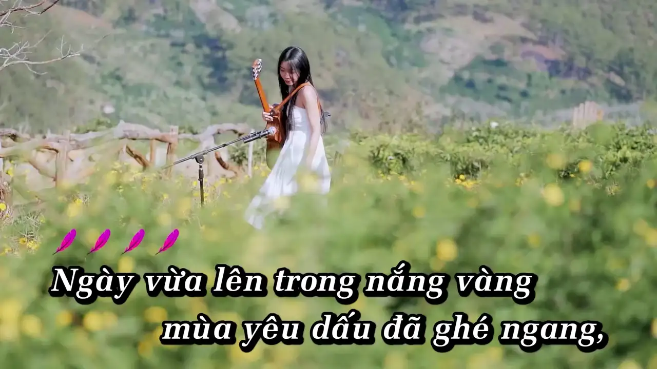 Ảnh bài hát Về Miền Hoa Cỏ