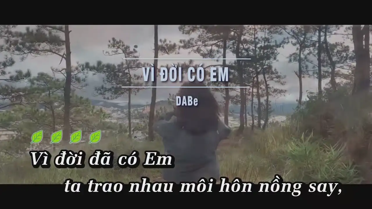 Ảnh bài hát Vì Đời Có Em